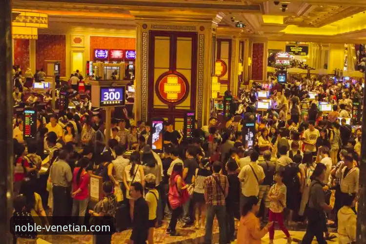 威尼斯人娱乐最新动态：深度解析官网必备功能与尊享体验全攻略